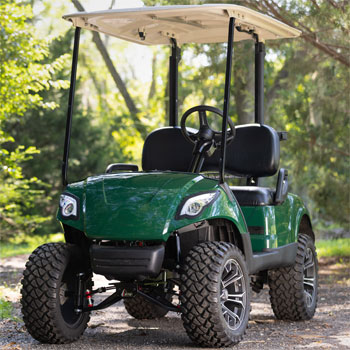 Buggies Unlimited - item 16-075