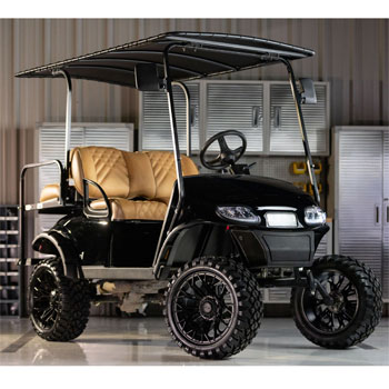 Buggies Unlimited - item 19-327